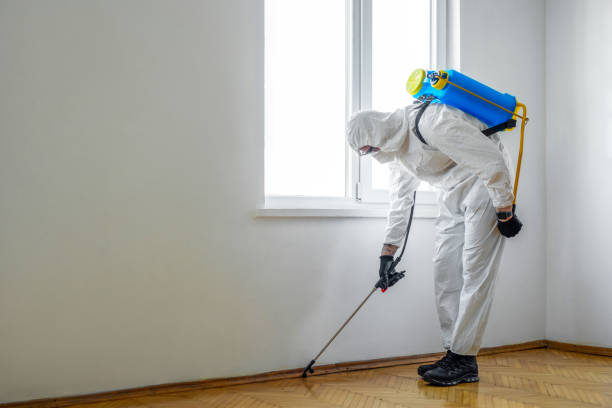 Pest Control Cost in Berlin, OH