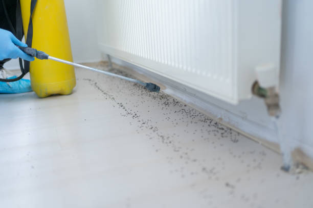 Best Mosquito Control Services  in Berlin, OH